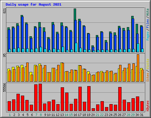 Daily usage for August 2021