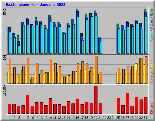 Daily usage for January 2023
