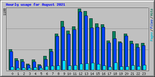 Hourly usage for August 2021