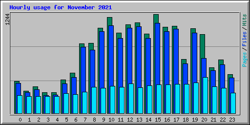 Hourly usage for November 2021