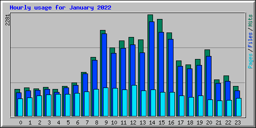 Hourly usage for January 2022
