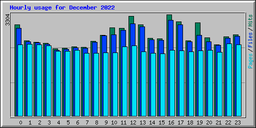 Hourly usage for December 2022
