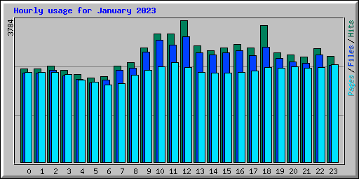 Hourly usage for January 2023