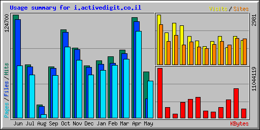 Usage summary for i.activedigit.co.il