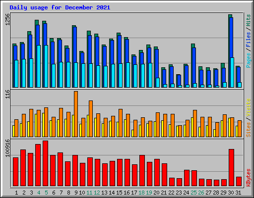 Daily usage for December 2021