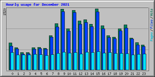 Hourly usage for December 2021